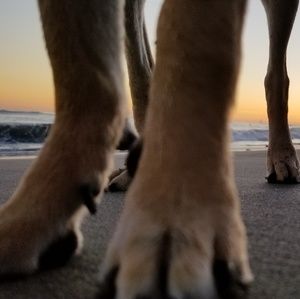 Meet your Posher, Flavio